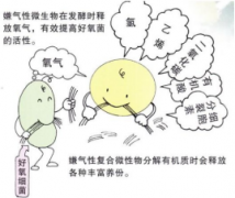 生物有机肥料的生产